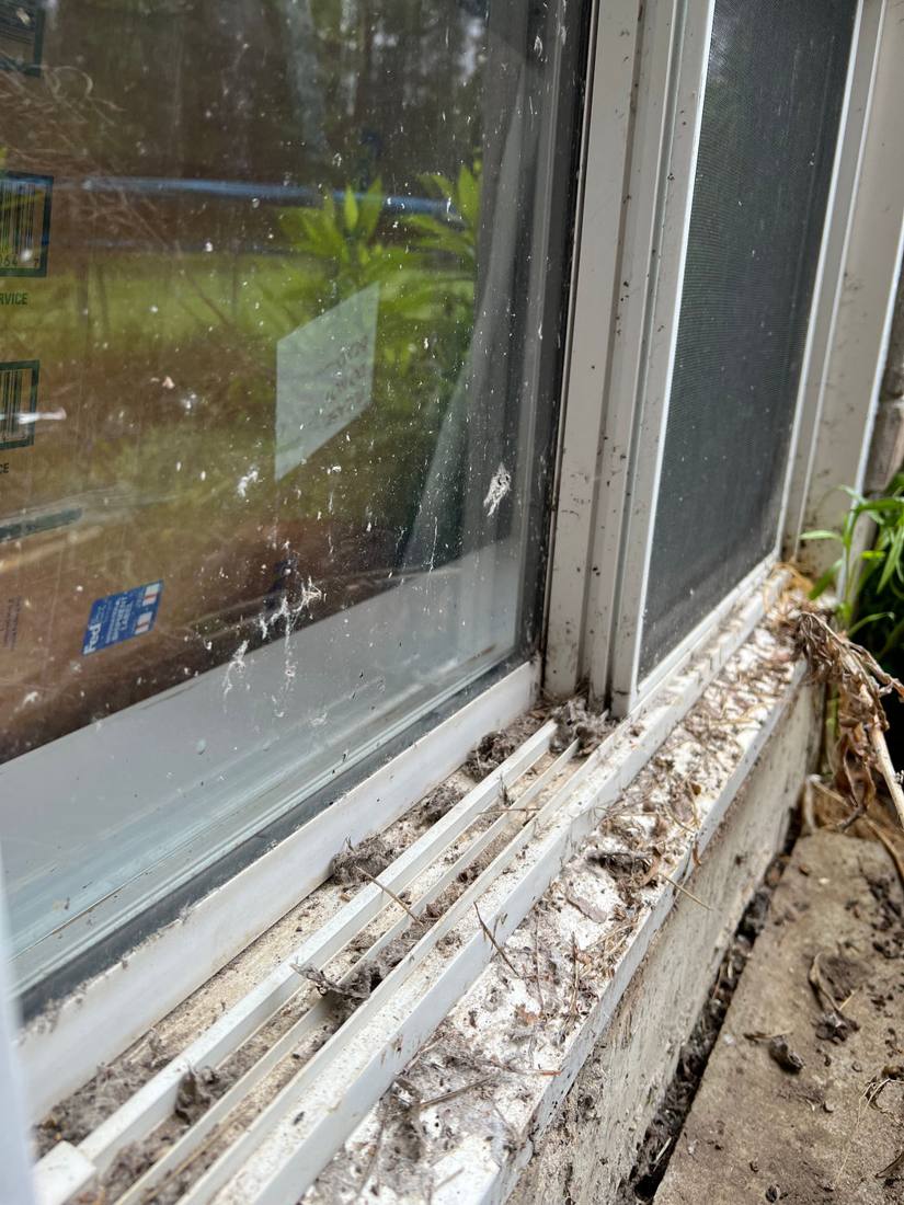 Exterior windows before